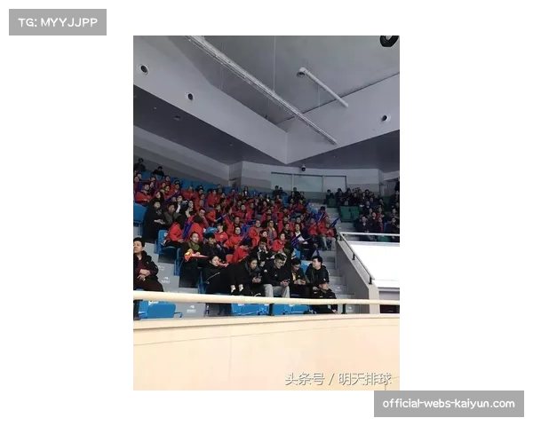 通过动态权重分析模型评估欧冠球队实力 可结合攻防数据预测进球分布